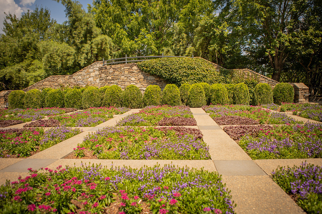 Surprise Proposal Photography at NC Arboretum