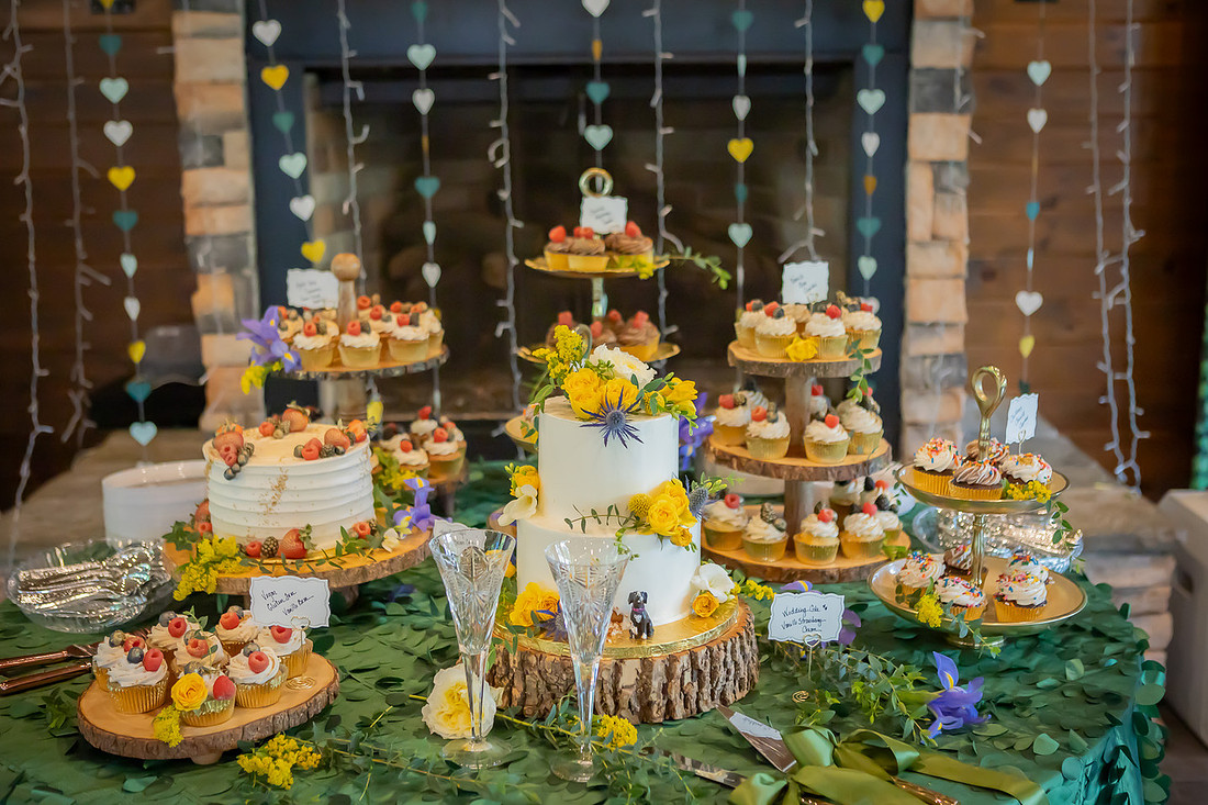 Wedding Reception Photos Asheville 
