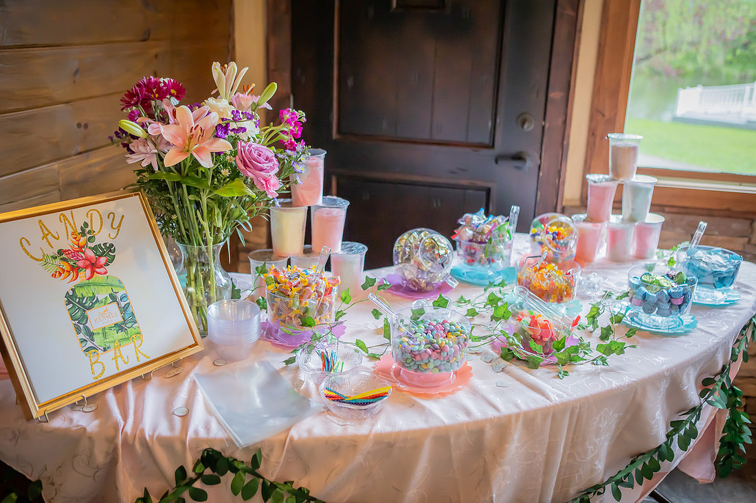 Wedding Reception Photos Asheville 