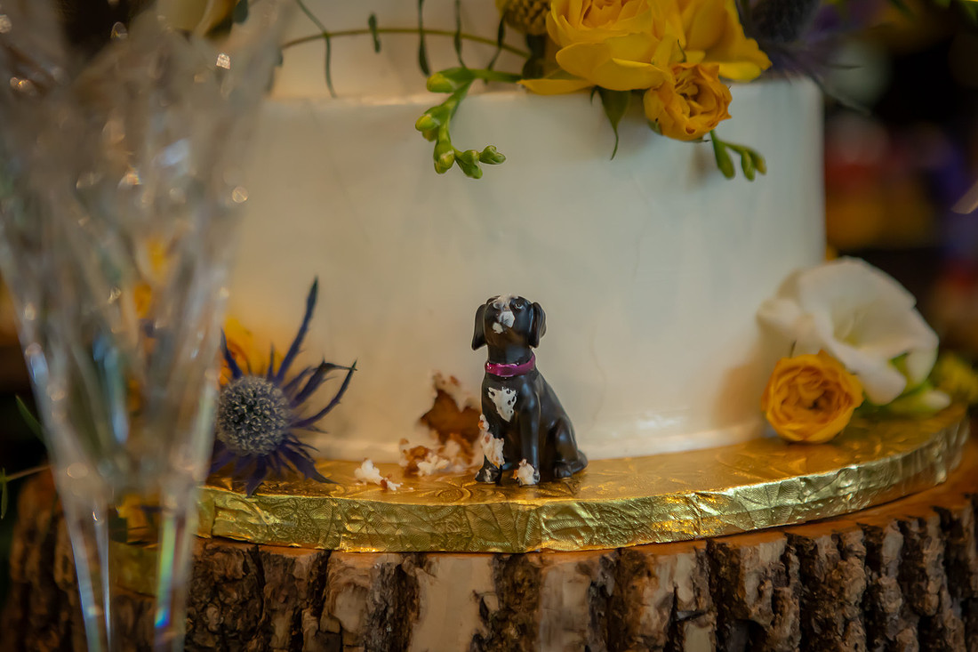 Wedding Cake with Dog