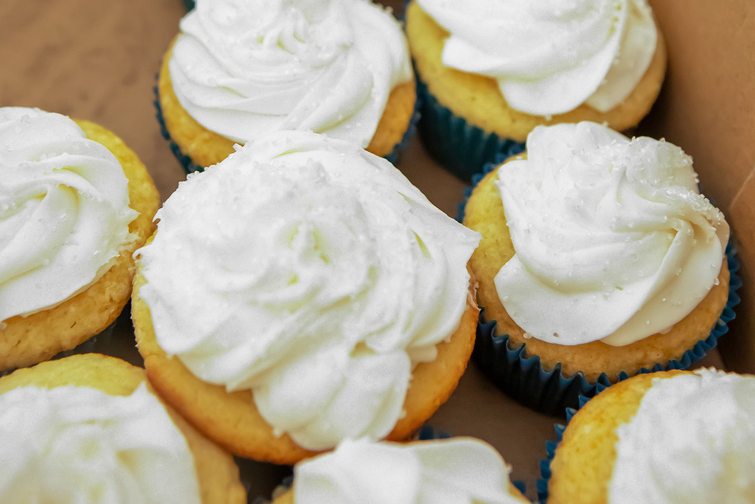 Wedding Cake and Cupcakes | Asheville Elopement Photographer