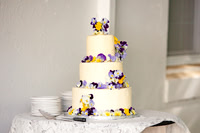 Cakes & Sweets