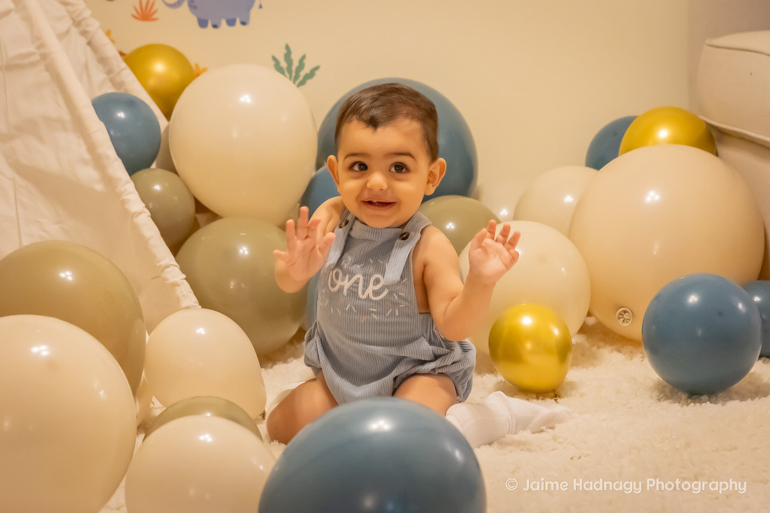 One Year Old Baby Photoshoot | WNC Baby Photographer