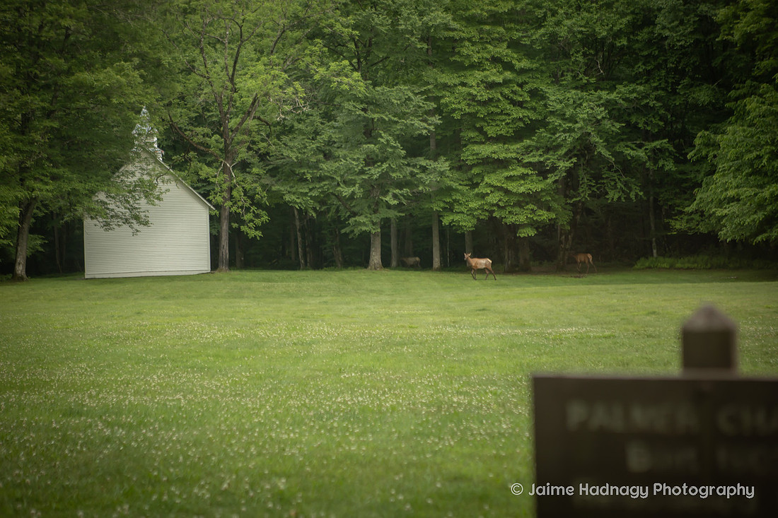 Palmer Chapel Waynesville, NC