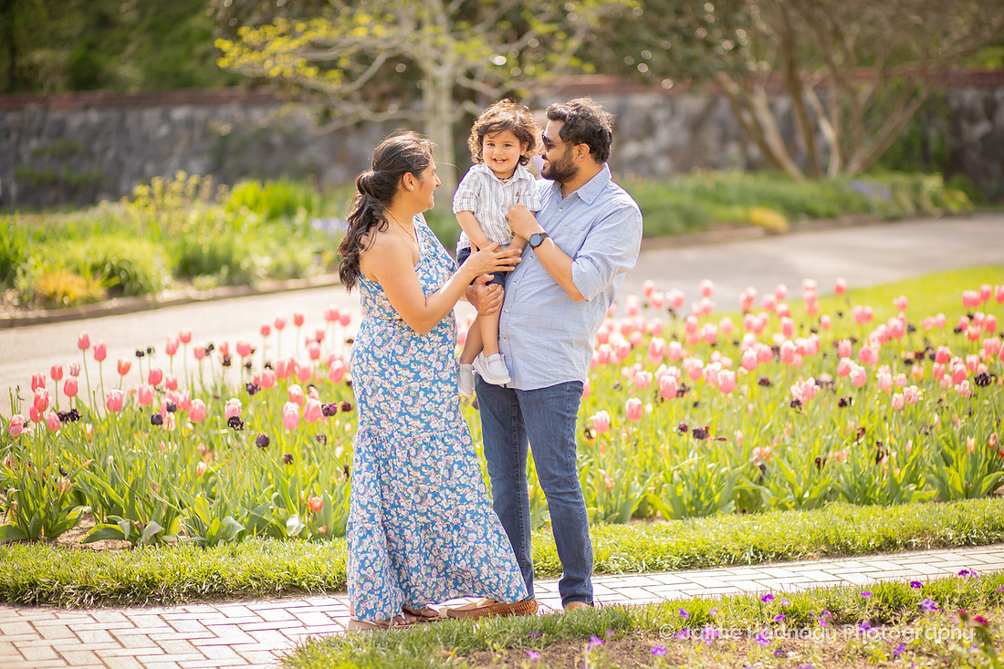 Family Photos in the Tulip Garden at the Biltmore Estate | Asheville Photographer