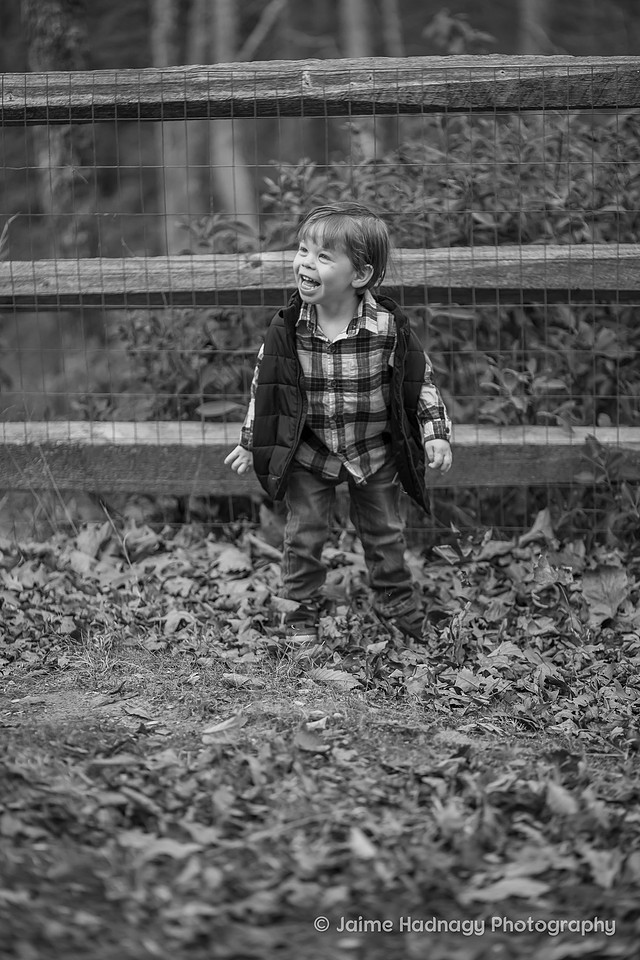 Outdoor Family Photos | Asheville Photographer