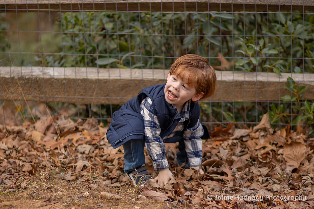 Asheville Kids Photographer Little Boy Throwing Leaves
