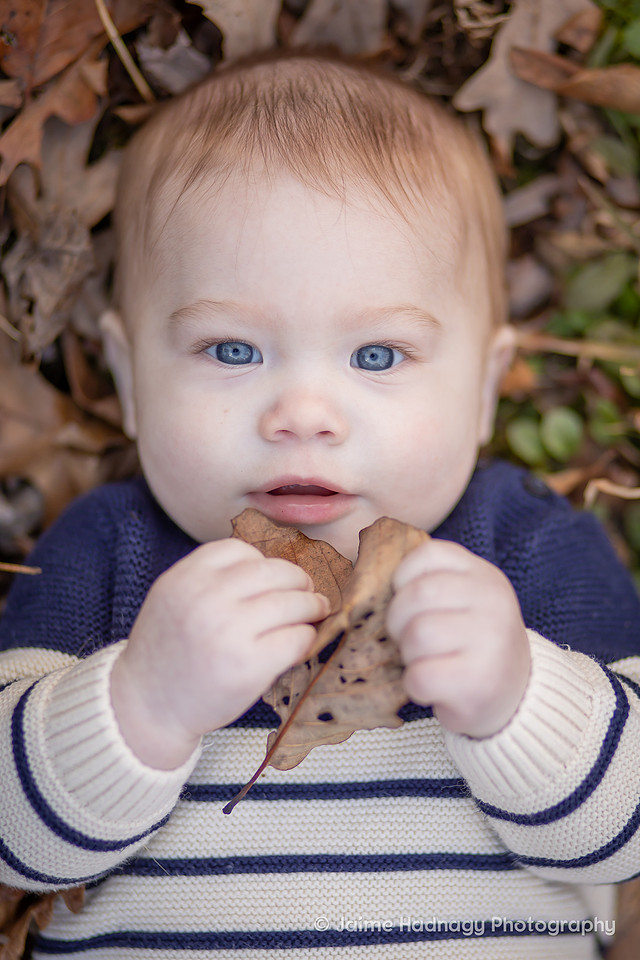 Baby in Autumn Leaves | Asheville Baby Photographer