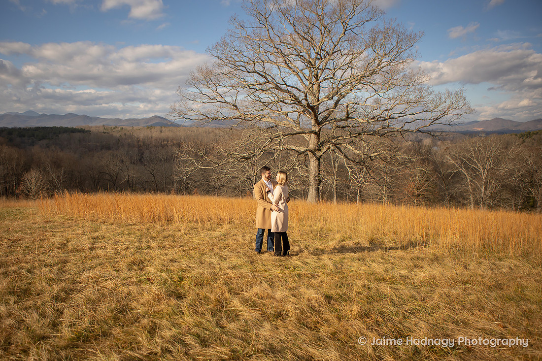 Proposal and Engagement Photos at Biltmore Estate | Asheville Photographer