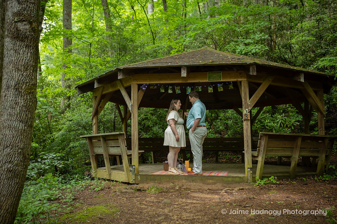 Proposal Photography at a Gazebo in the Forest | Black Mountain NC Photographer