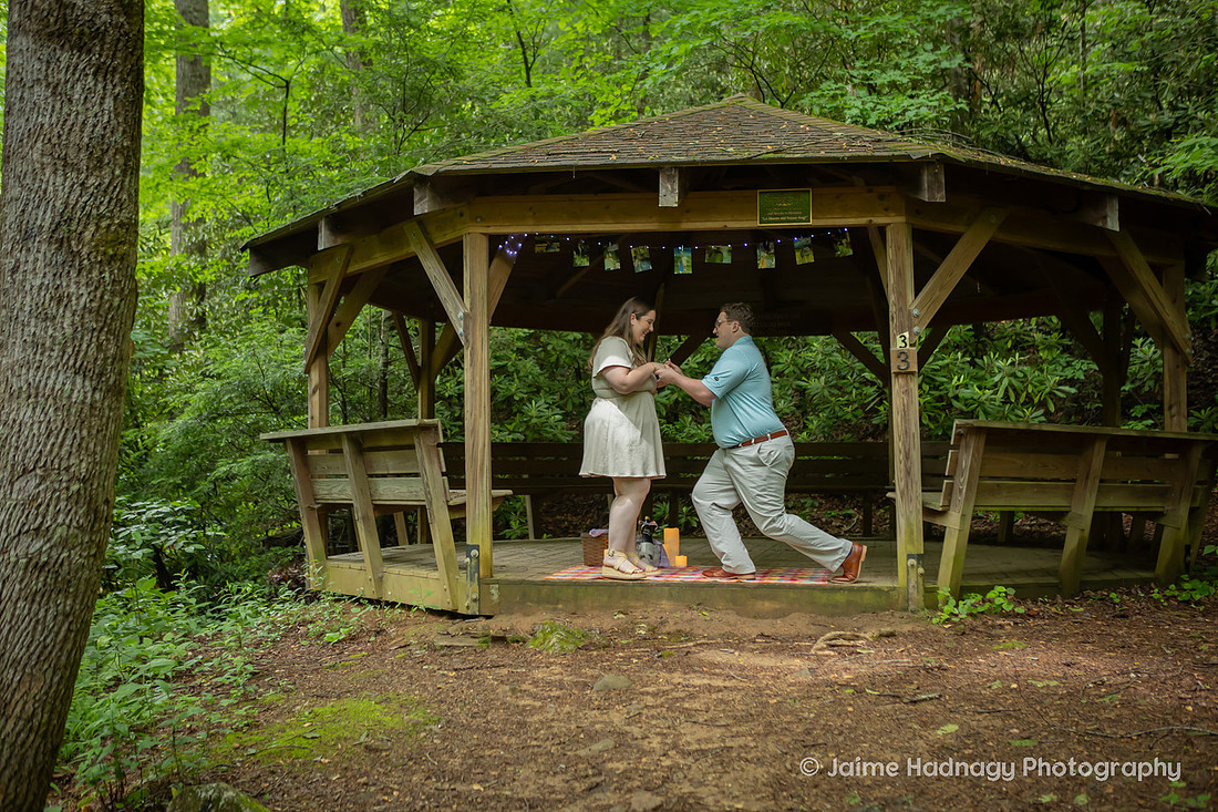 Proposal Photography at a Gazebo in the Forest | Black Mountain NC Photographer
