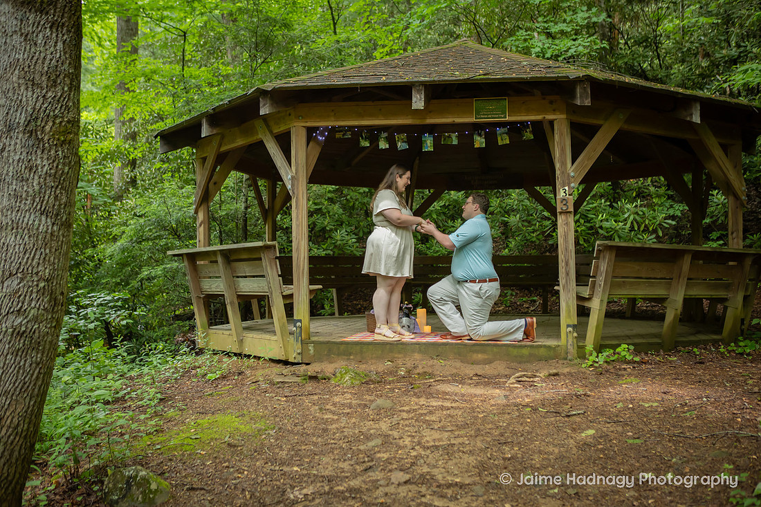 Proposal Photography at a Gazebo in the Forest | Black Mountain NC Photographer
