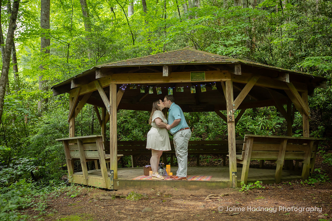 Proposal Photography at a Gazebo in the Forest | Black Mountain NC Photographer