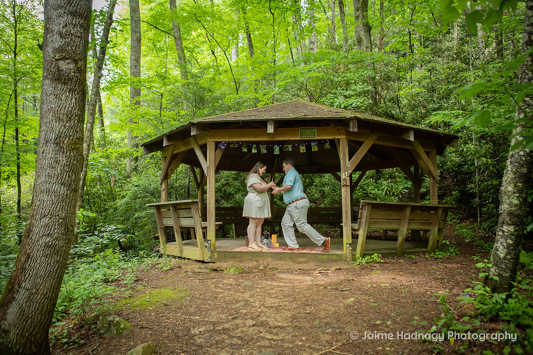 Proposal Photography at a Gazebo in the Forest | Black Mountain NC Photographer