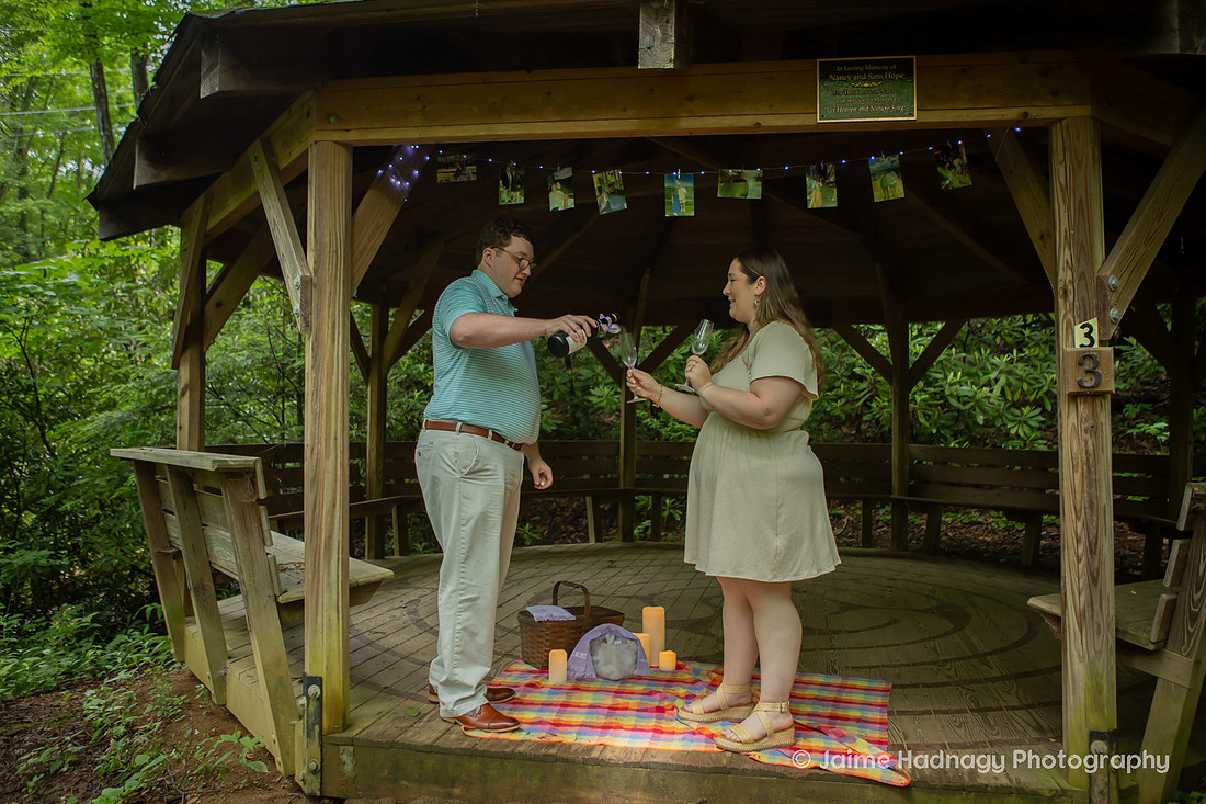 Engagement Photography in the Forest | Black Mountain NC Proposal