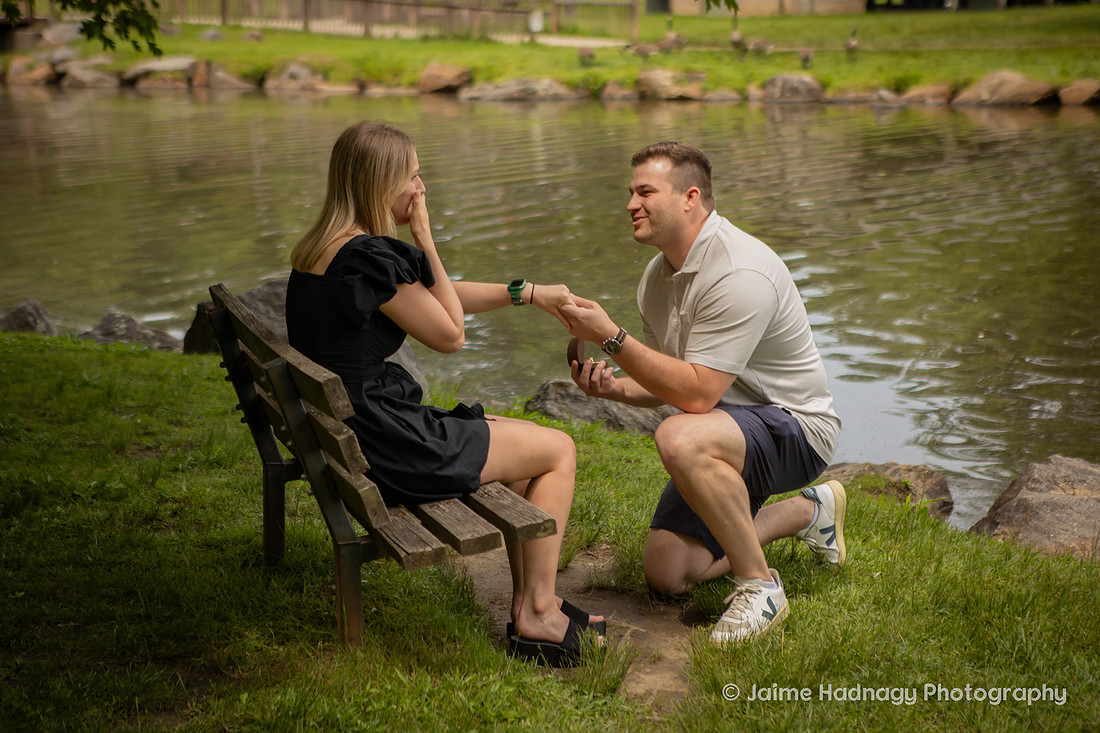 Proposal at Lake Tomahawk in Black Mountain NC | Engagement Photographer