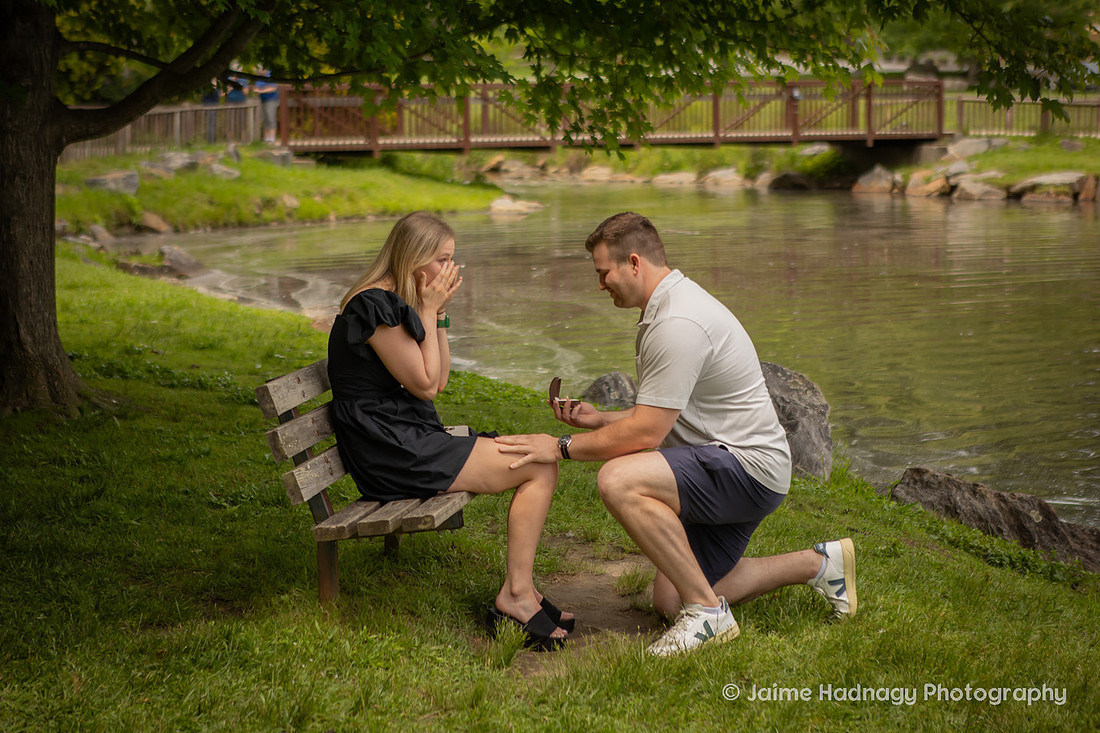 Proposal at Lake Tomahawk in Black Mountain NC | Engagement Photographer