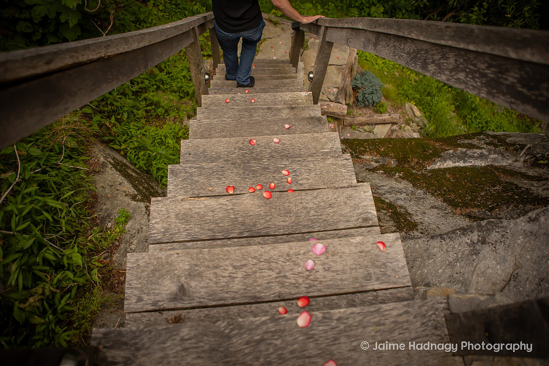 Surprise Tiny House Proposal at Raven Rock | Asheville Engagement Photographer