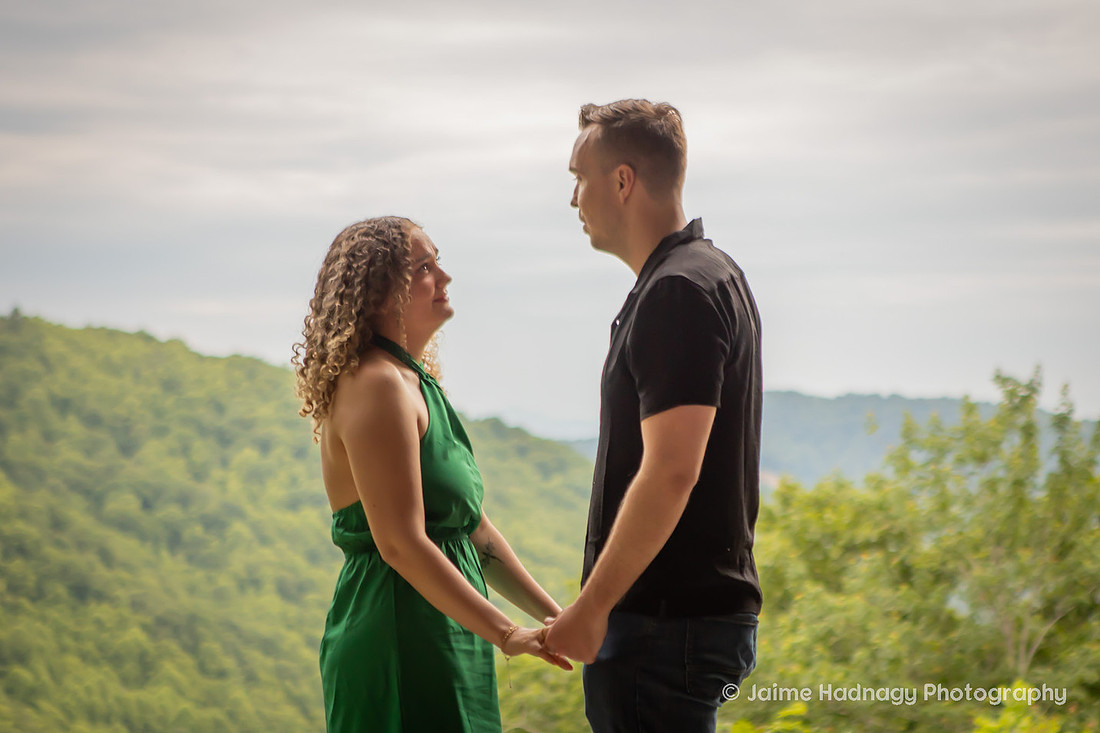 Surprise Tiny House Proposal at Raven Rock | Asheville Engagement Photographer