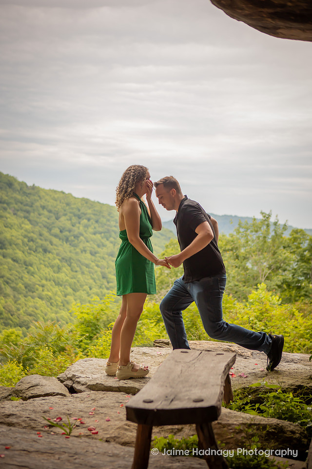 Surprise Tiny House Proposal at Raven Rock | Asheville Engagement Photographer