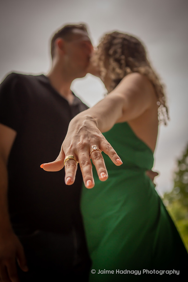 Raven Rock TIny House Proposal Photographer | Hendersonville Engagement 