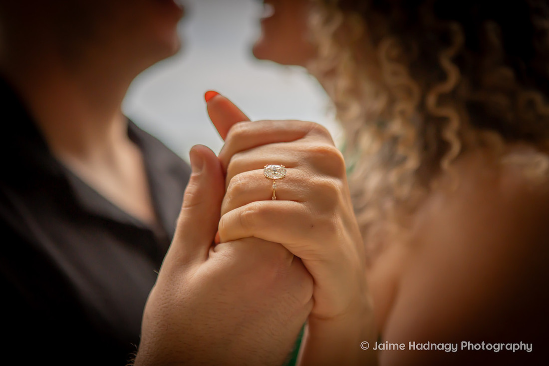 Raven Rock TIny House Proposal Photographer | Hendersonville Engagement 