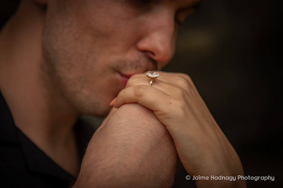 Raven Rock TIny House Proposal Photographer | Hendersonville Engagement 