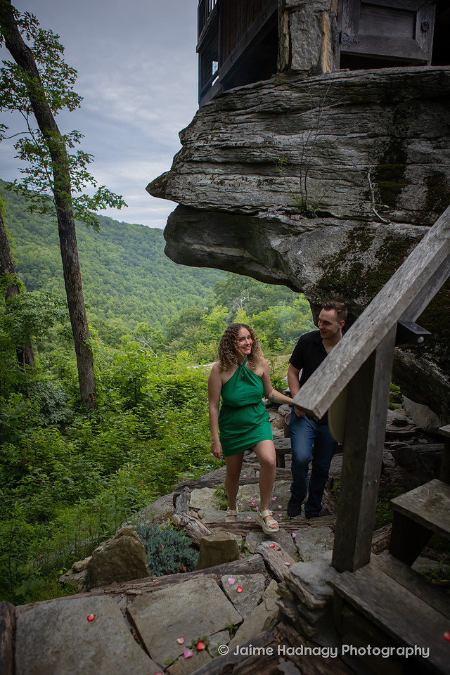 Raven Rock TIny House Proposal Photographer | Hendersonville Engagement 