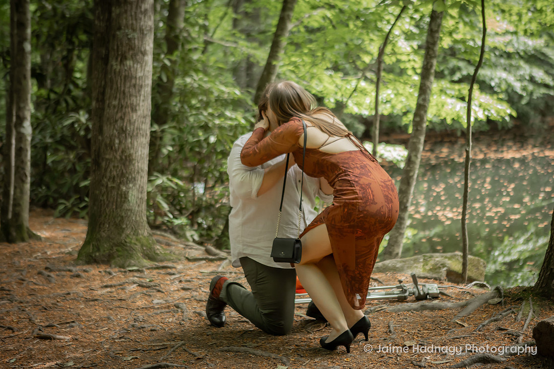 Forest Proposal in Montreat Black Mountain NC | Engagement Photographer