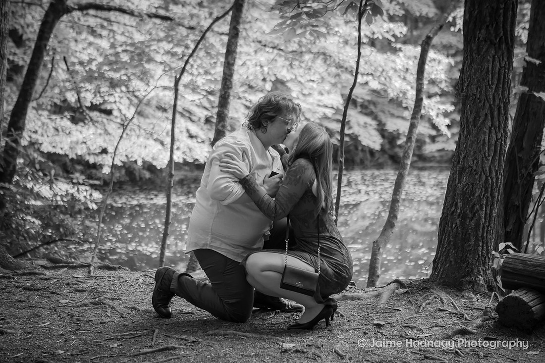 Forest Proposal in Montreat Black Mountain NC | Engagement Photographer