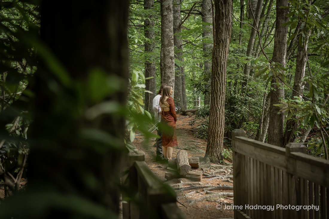 Couple in the Forest