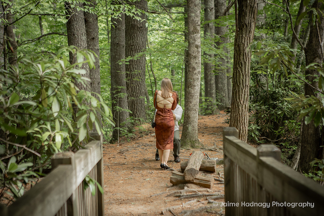 Forest Proposal in Montreat Black Mountain NC | Engagement Photographer