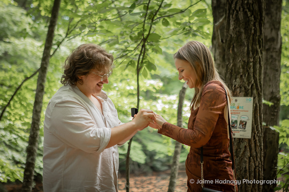 Forest Proposal in Montreat Black Mountain NC | Engagement Photographer