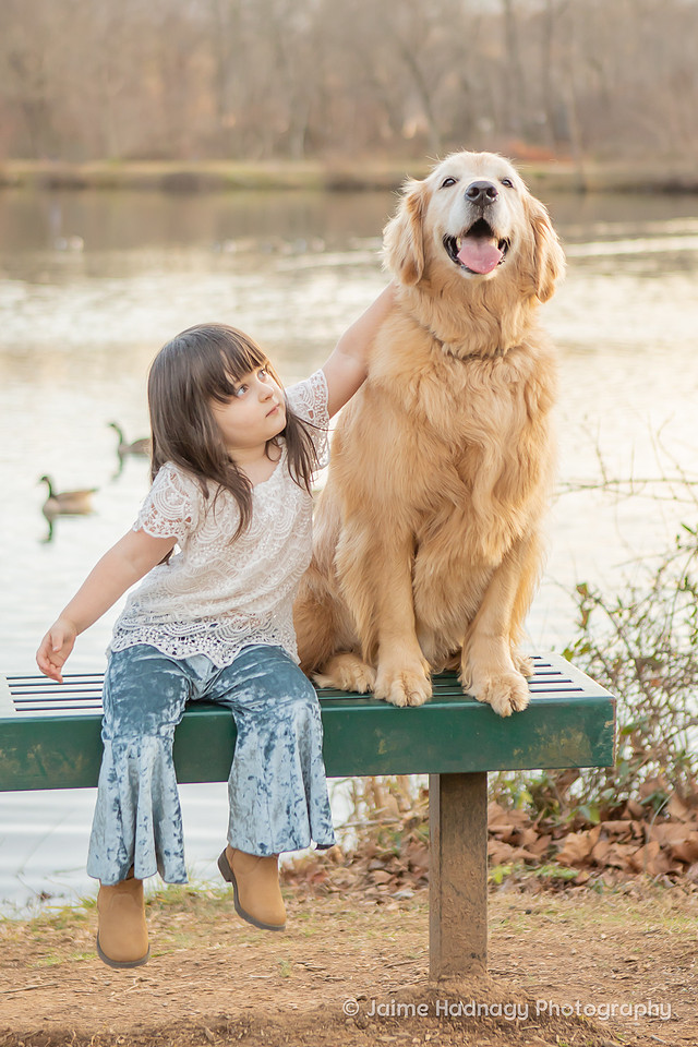 Outdoor Family Photography at Owen Park In Asheville with Dog