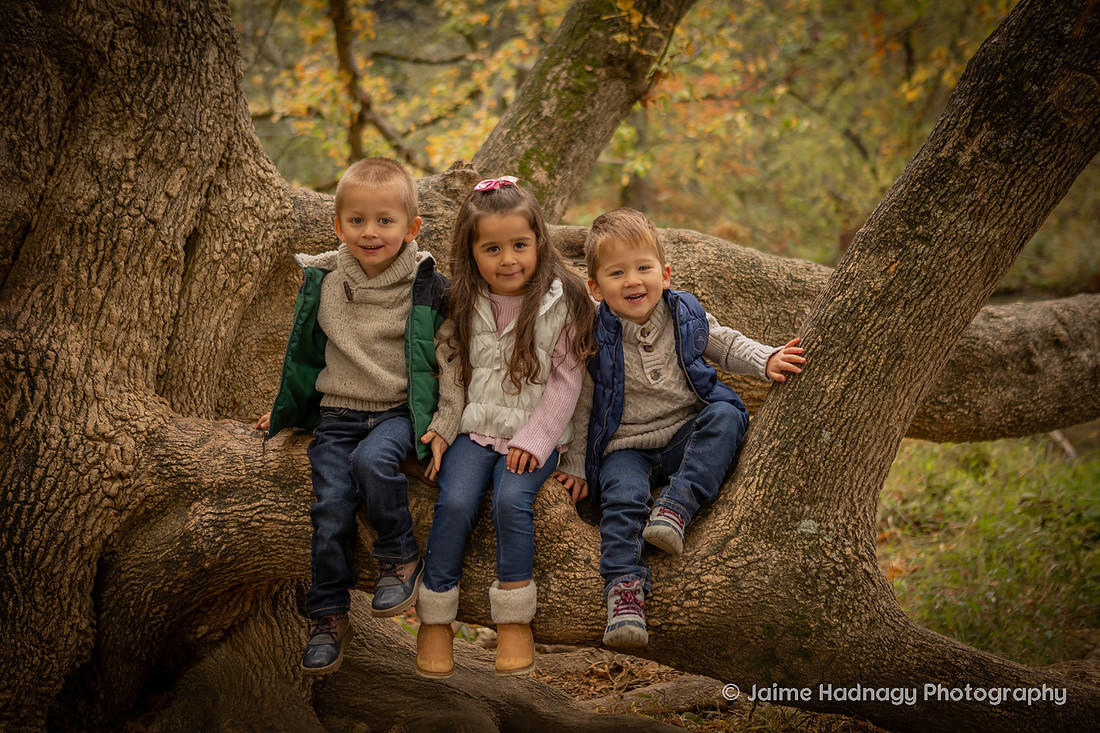 Outdoor Family Photos in Asheville with 4 Year Old Triplets