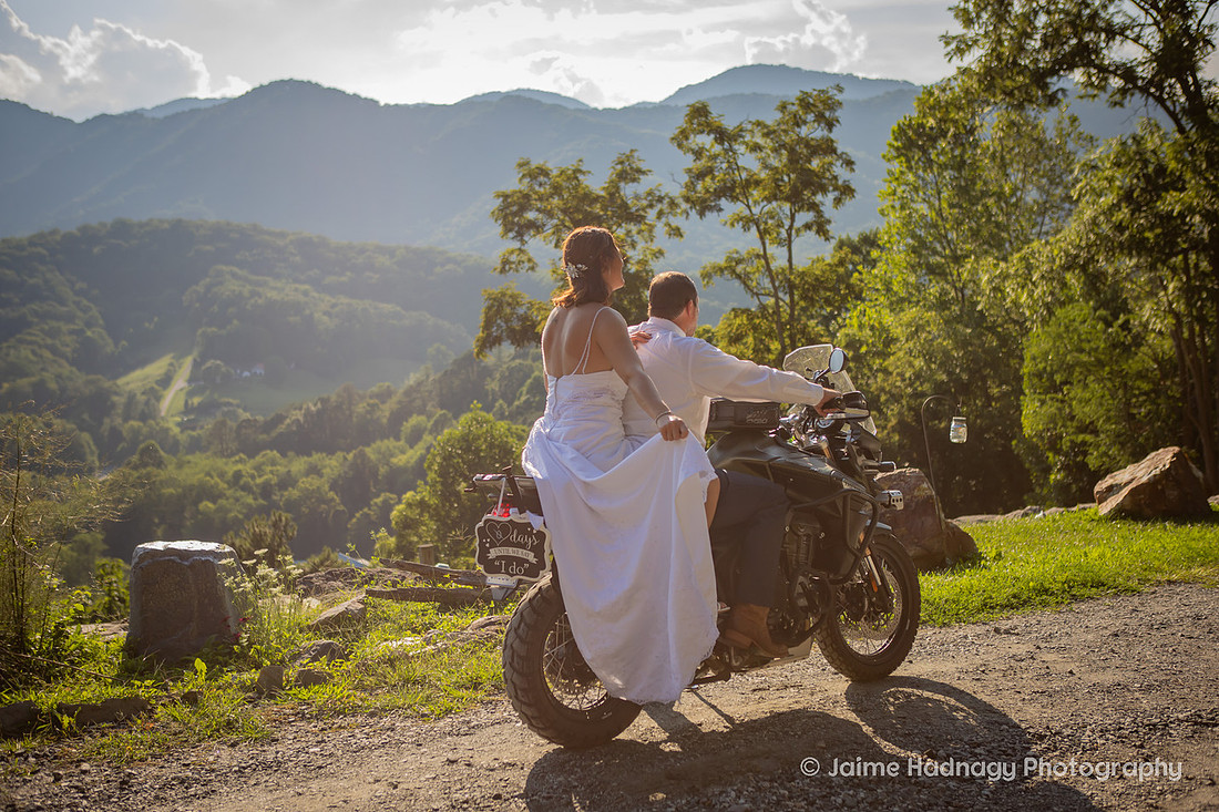 Wedding with Highland COws and Motorcycle | Asheville Elopement Photographer