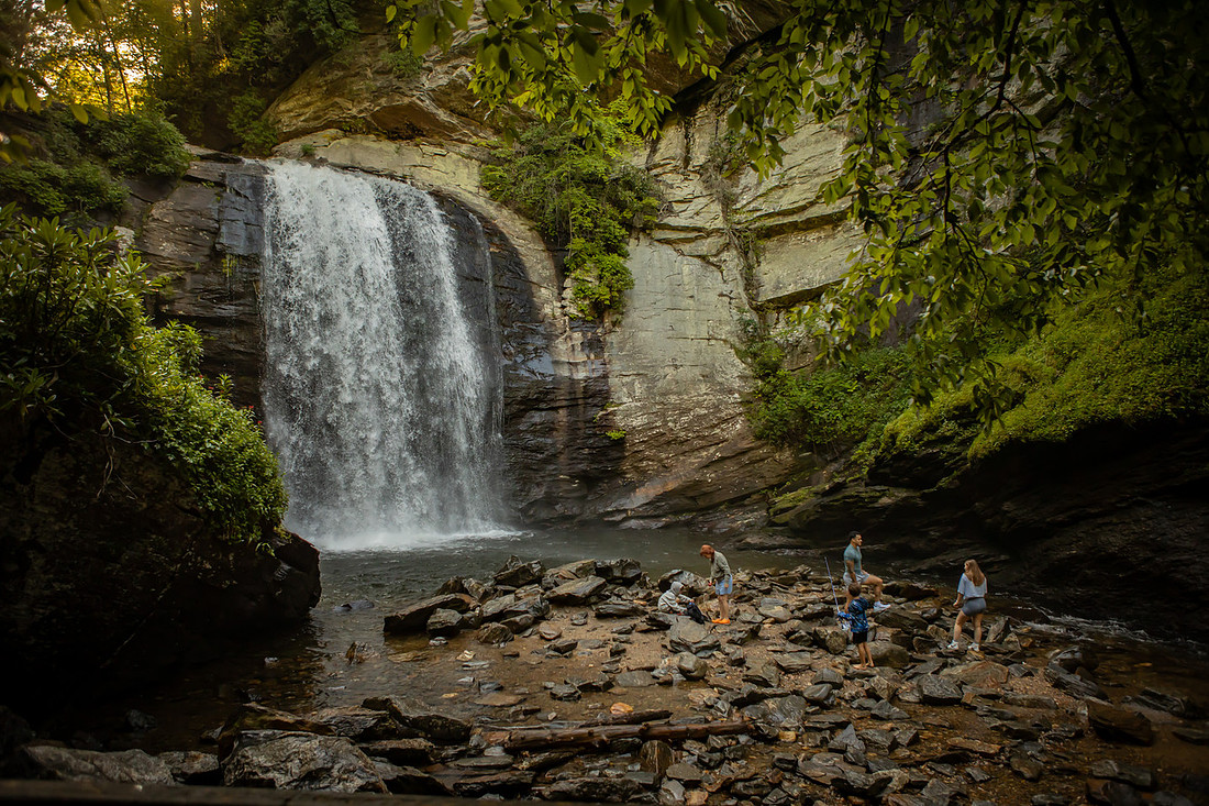 Surprise Proposal at Looking Glass Falls | Brevard NC Engagement Photographer