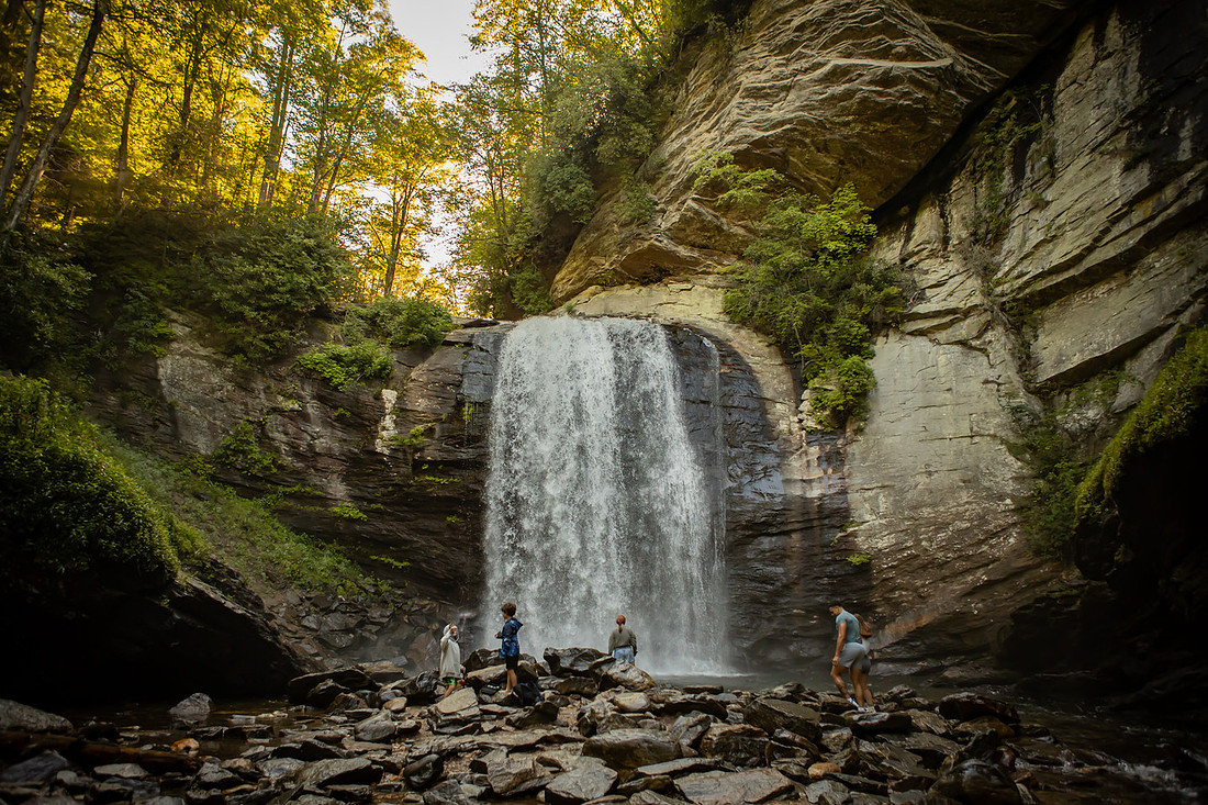 Surprise Proposal at Looking Glass Falls | Brevard NC Engagement Photographer