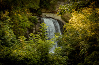 Walker & Sydnie: Morning Proposal at Looking Glass Falls