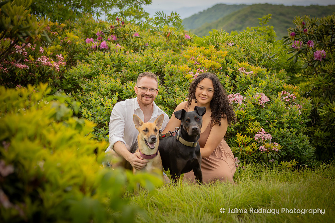 Hiking Family Portrait Session in Western NC Craggy Gardens