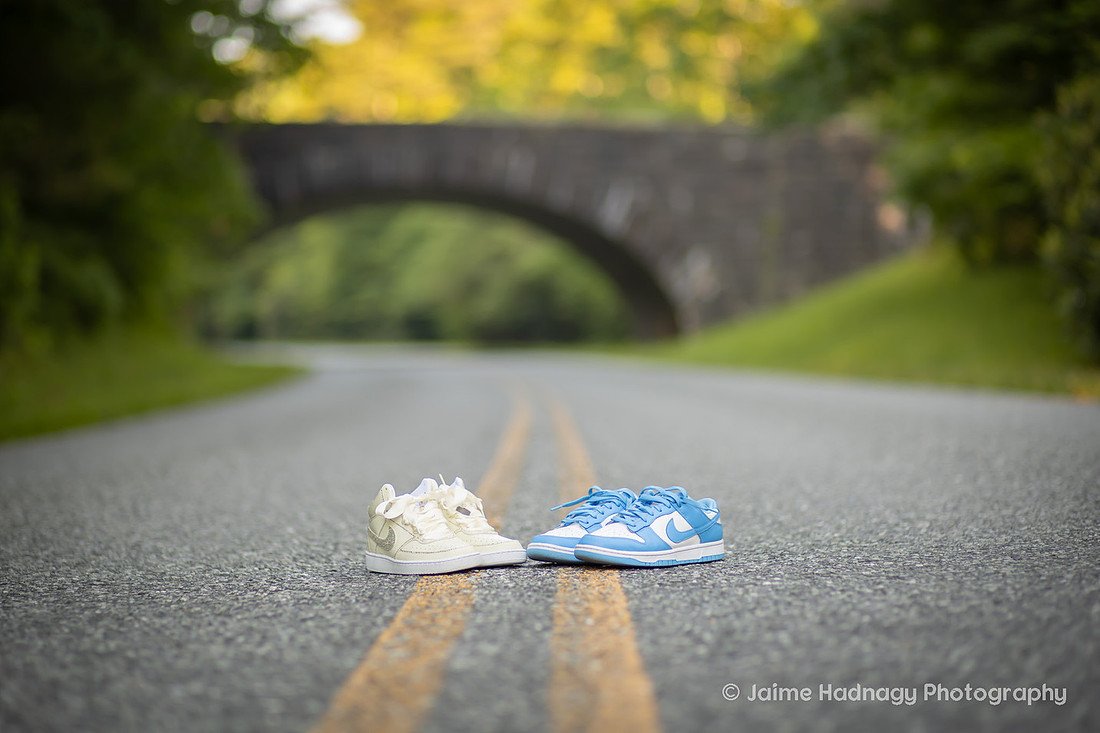 Western NC Blue Ridge Parkway Nature Elopement | Asheville Wedding Photographer