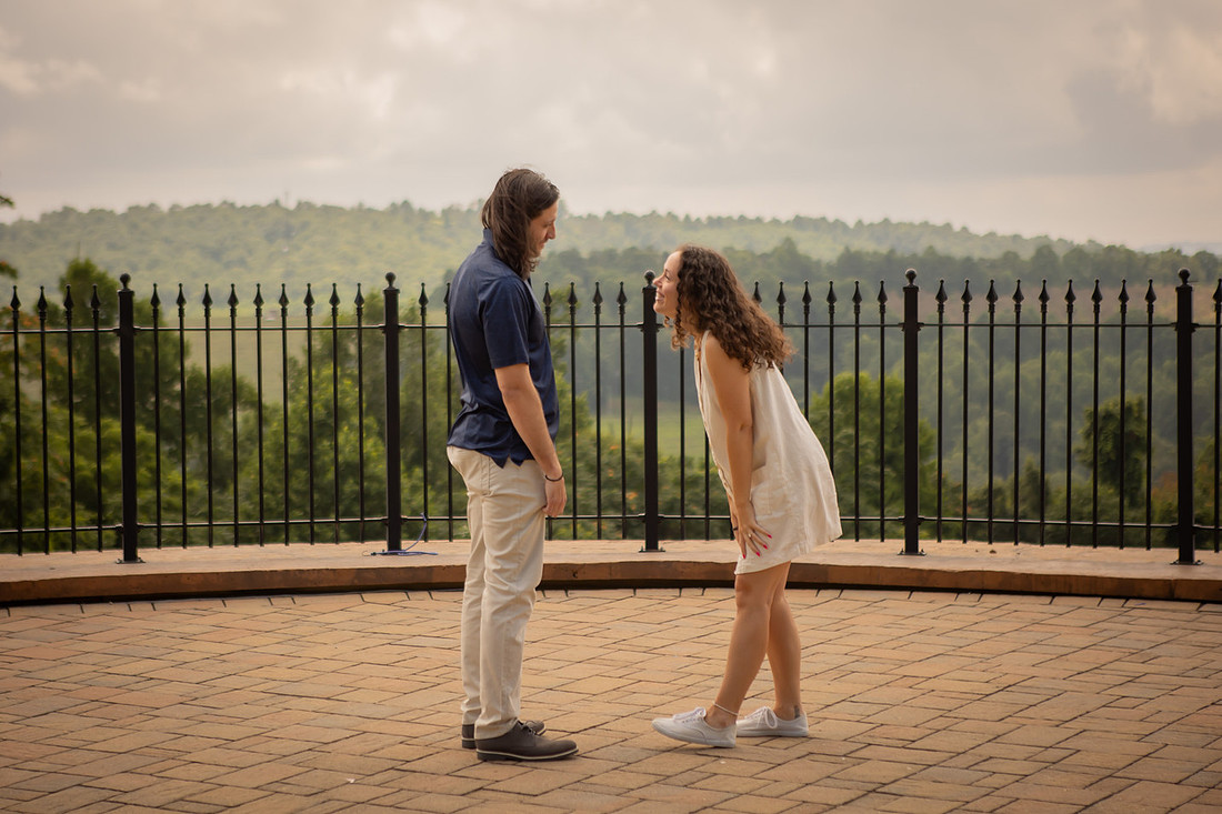Surprise Proposal at Point Lookout Vineyard | Hendersonville, NC Photographer