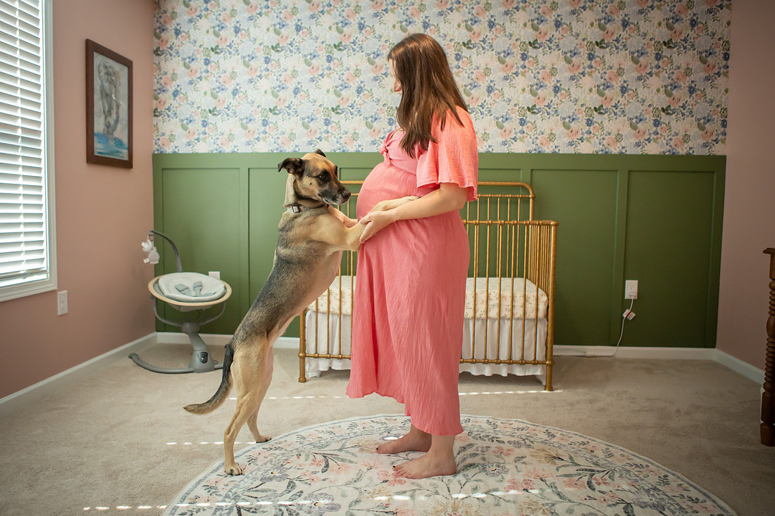 Cute Maternity Session with Pets in Nursery | Asheville Family Photographer