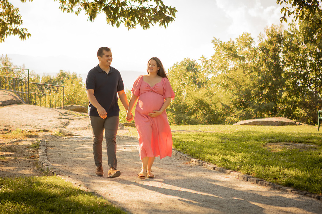 Maternity Photos in the Nursery at Home with Dog and Cat 