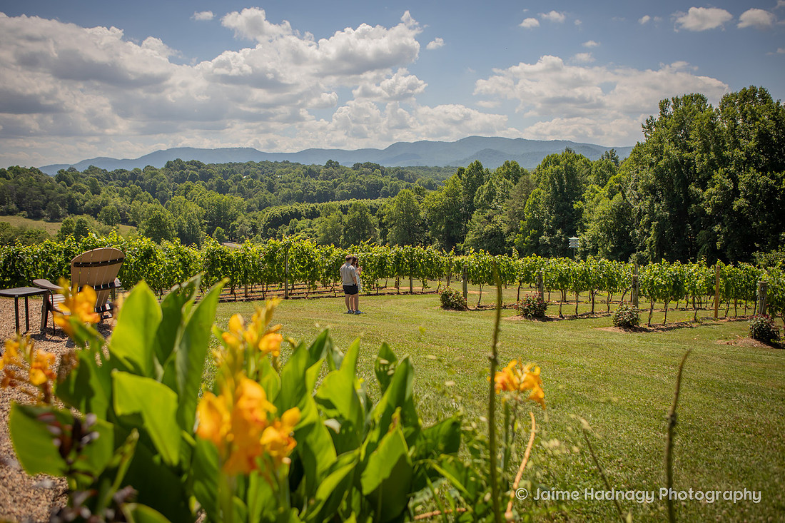 Surprise Proposal at Vineyard in Western NC | Asheville Engagement Photographer