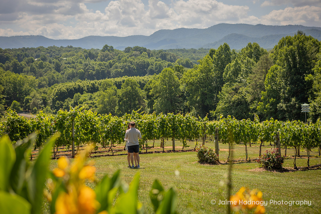 Surprise Proposal at Vineyard in Western NC | Asheville Engagement Photographer