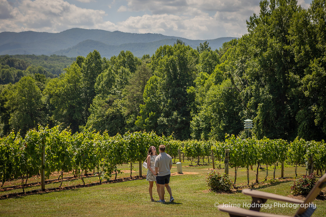Surprise Proposal at Vineyard in Western NC | Asheville Engagement Photographer