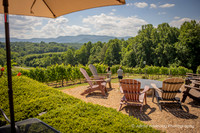 Michael & Ashley: Vineyard Proposal