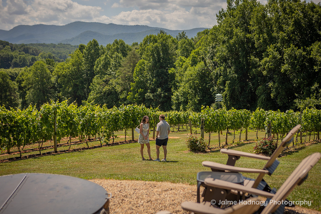 Surprise Proposal at Vineyard in Western NC | Asheville Engagement Photographer