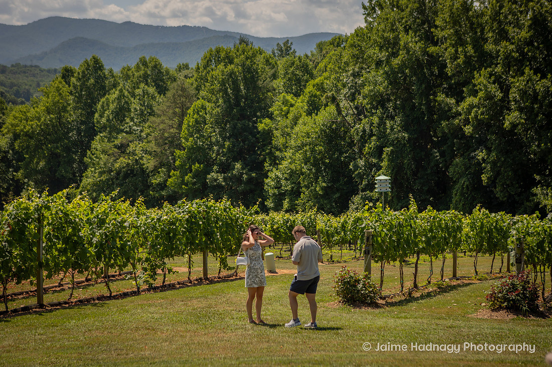 Surprise Proposal at Vineyard in Western NC | Asheville Engagement Photographer